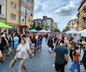 Drugi dzień Łódź Summer Festival. Uczestnicy bawili się w rytmie wielkich hitów 