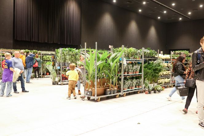 Festiwal roślin odbywa się w Katowicach