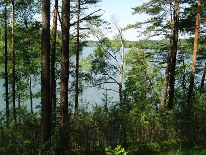 Nadleśnictwo Sieraków 