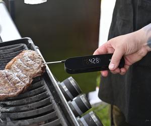 Mistrzostwa Polski w Grillu na Zamku Ogrodzieniec