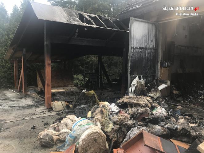 Czechowice-Dziedzice: Pożar w hotelu dla psów, dwóch zwierząt nie udało się uratować