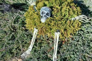 U Łukasza z Pawłowa hasło cukierek albo psikus nabiera innego wymiaru. Najbardziej halloweenowy dom świętokrzyskiego