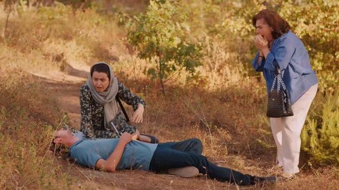 Miłość i nadzieja odc. 259. Alper, Naciye, Cavidan