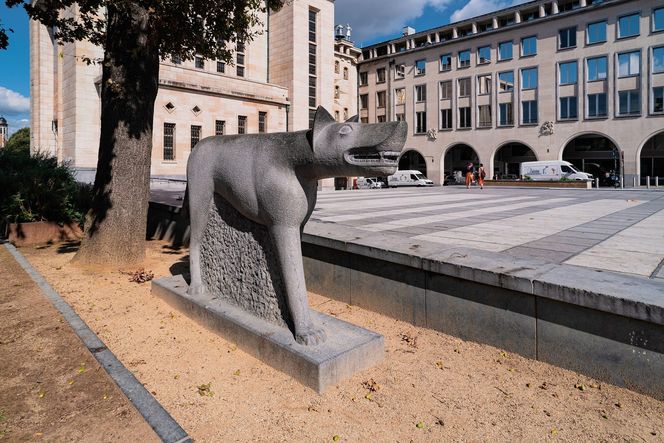 Rzeźba wilka na Mont des Arts, czyli brukselskim Wzgórzu Sztuki