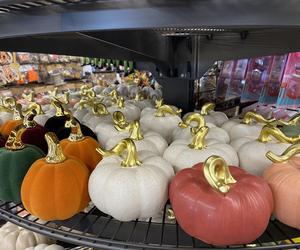 Ozdoby jesienne i na Halloween w sklepach już w lipcu 2024 r.