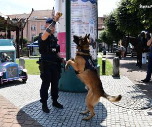 Wojewódzkie Obchody Święta Policji w Żorach 2024