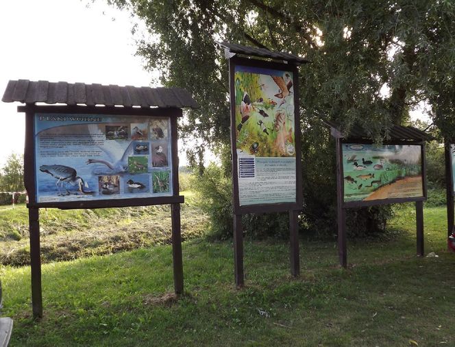 Morąg na zdjęciach