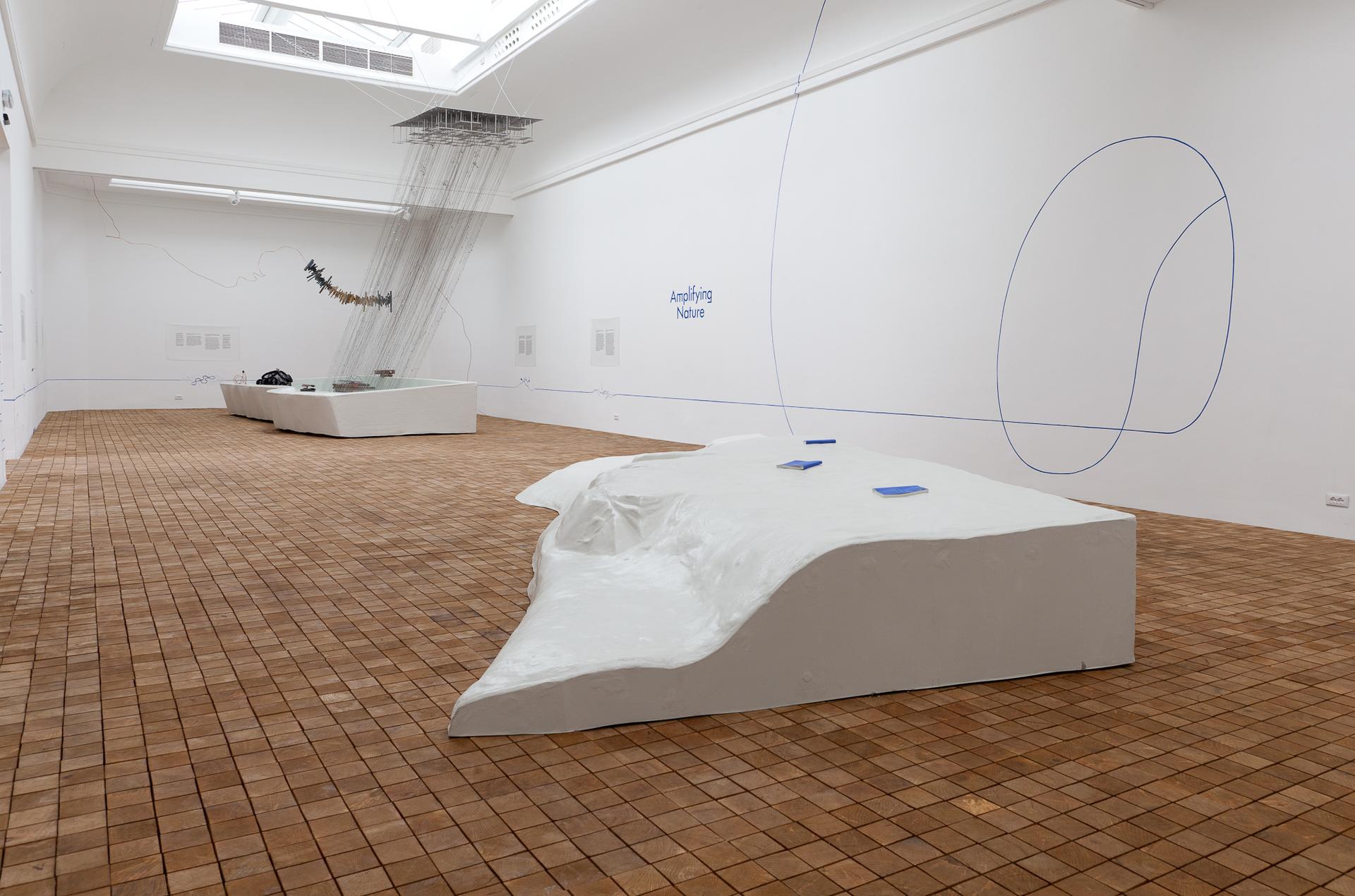 Amplifying_Nature_exhibition_fot_Anna_Zagrodzka-1