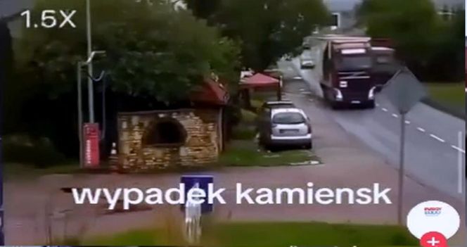 Pas od tira uderzył kobietę prosto w głowę. Wszystko widać na nagraniu