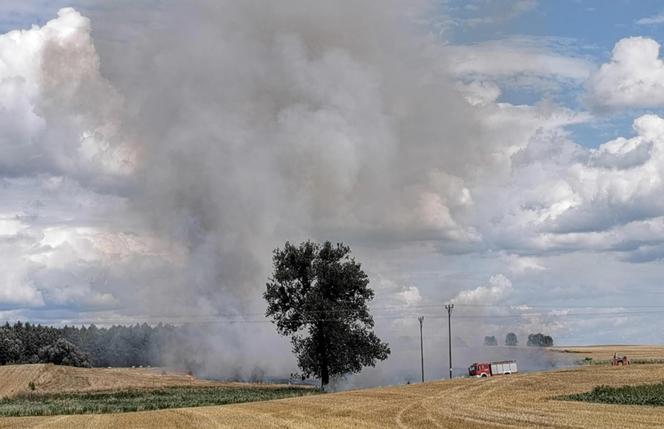 Ogromny pożar ścierniska w Śmieszkowie koła Czarnkowa