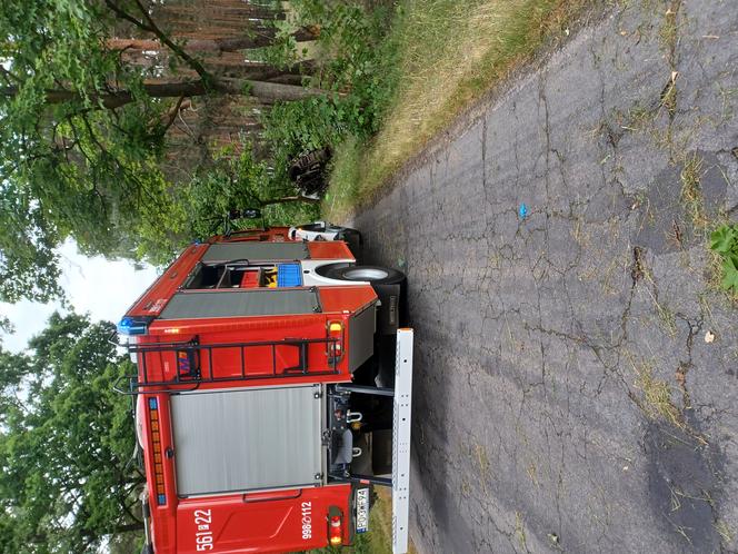 Śmiertelny wypadek w gminie Pleszew. Kierowca nie żyje