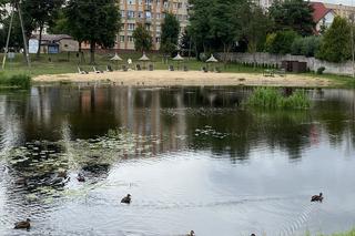 Najpiękniejsze plaże w Białymstoku i Podlaskiem. Tutaj latem odpoczniesz codziennie [ZDJĘCIA]