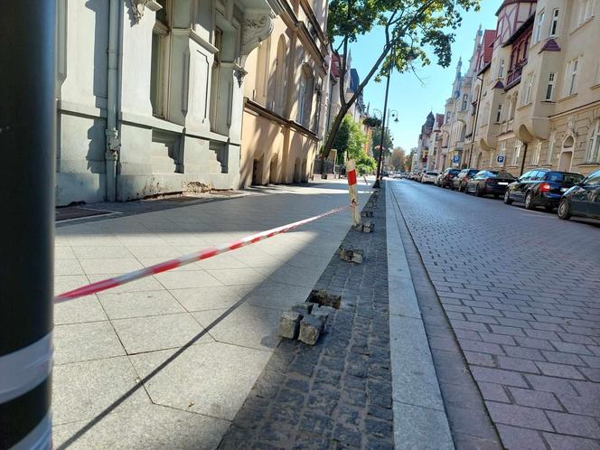 Bydgoszczanie marzą o roślinach wzdłuż ulicy, a drogowcy chcieli tam słupków. Jest reakcja na protest