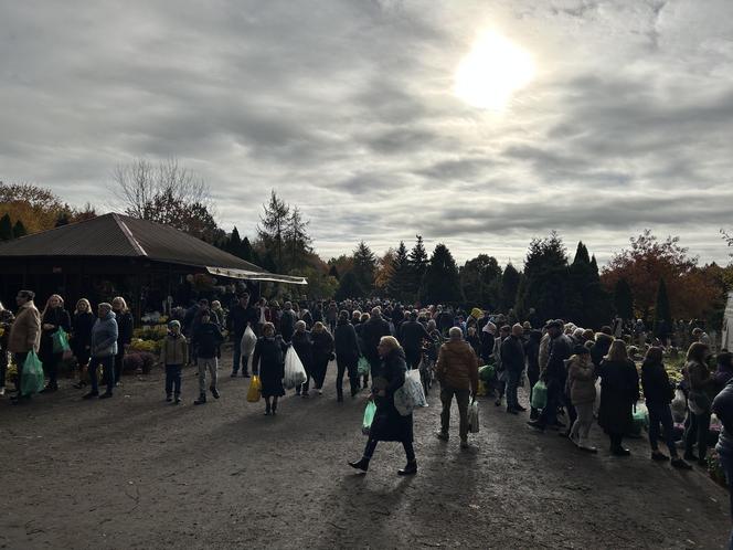 Wszystkich Świętych 2023 Cmentarz Centralny Szczecin 