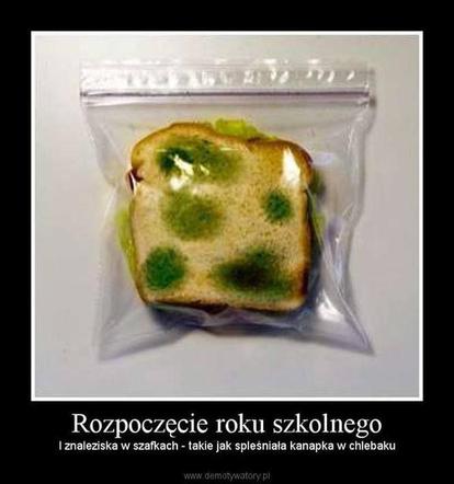 Szkoła a koronawirus: MEMY. Wrzesień w szkole w oczach internautów [ZDJĘCIA]