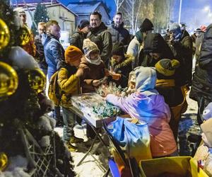 Dzielnicowe choinki w Gdańsku już świecą