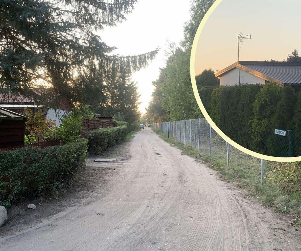 Ceny działek ROD w 2025 zaskakują. Porównujemy oferty z Bydgoszczy i okolic. Jest drożej niż kilka lat temu!