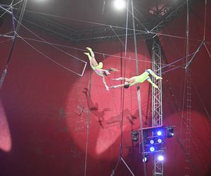 Cyrk Zalewski. Oto artyści 25. Międzynarodowego Festiwalu Sztuki Cyrkowej w Warszawie