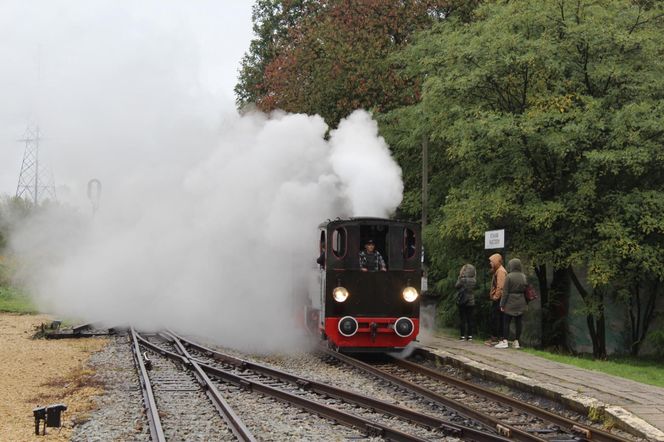 Górnośląskie Koleje Wąskotorowe świętują 170. urodziny. Przygotowano niezwykłe atrakcje. Przed nami m.in. parada lokomotyw