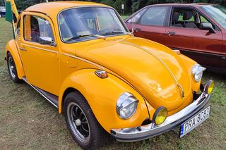 Klasyczne auta pod wiatrakami w Osiecznej