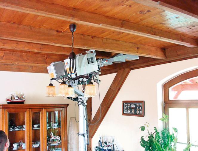 Jak usunąć szkodniki z drewna konstrukcyjnego metodą mikrofalową?