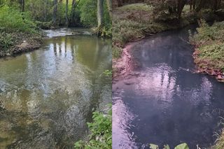 Rakotwórcze substancje wykryte w Rudawce. Wyniki badań nie pozostawiają wątpliwości [ROZMOWA]