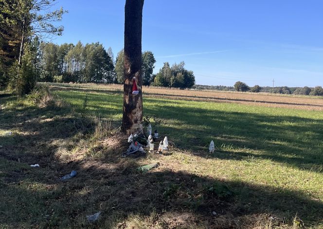 Tragiczny wypadek w Zalesiu. Nie żyje 23-letni kierowca BMW