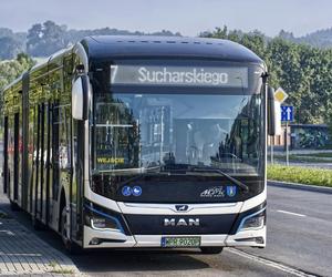 Przegubowy autobus na ulicach Nowego Sącza 