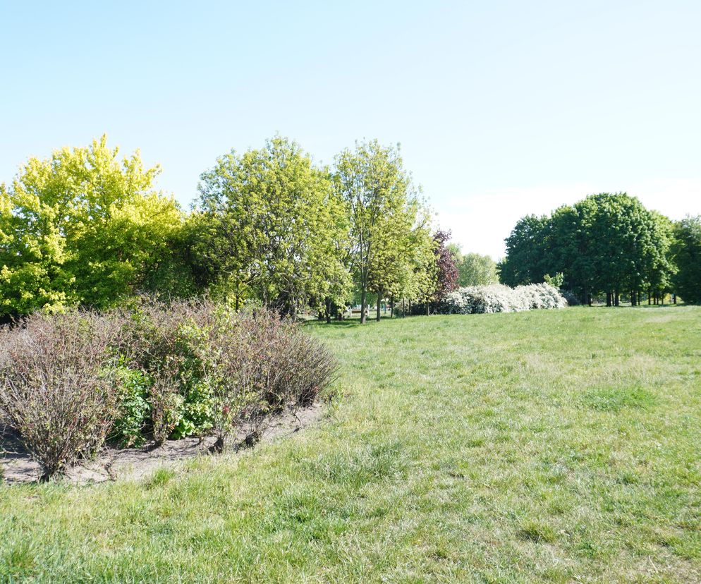 5. Park Jana Pawła II