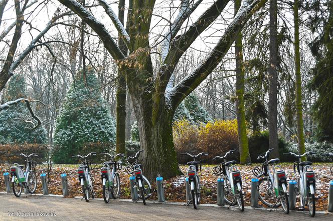 Koniec sezonu rowerowego Biker