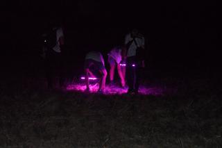 Nocne badania na cmentarzysku, gdzie odkryto „Wampirkę z Pnia”. Archeolodzy badali teren specjalnymi lampami