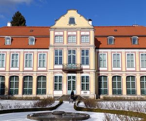 Park Oliwski. Palmiarnia i Pałac Opatów. Za darmo w Gdańsku