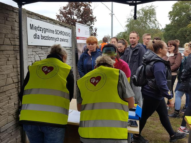 ​Szczeniak i kot znalazły nowy dom. To pierwsze efekty sobotniej akcji "Bieg + 4 Łapy" koło Leszna