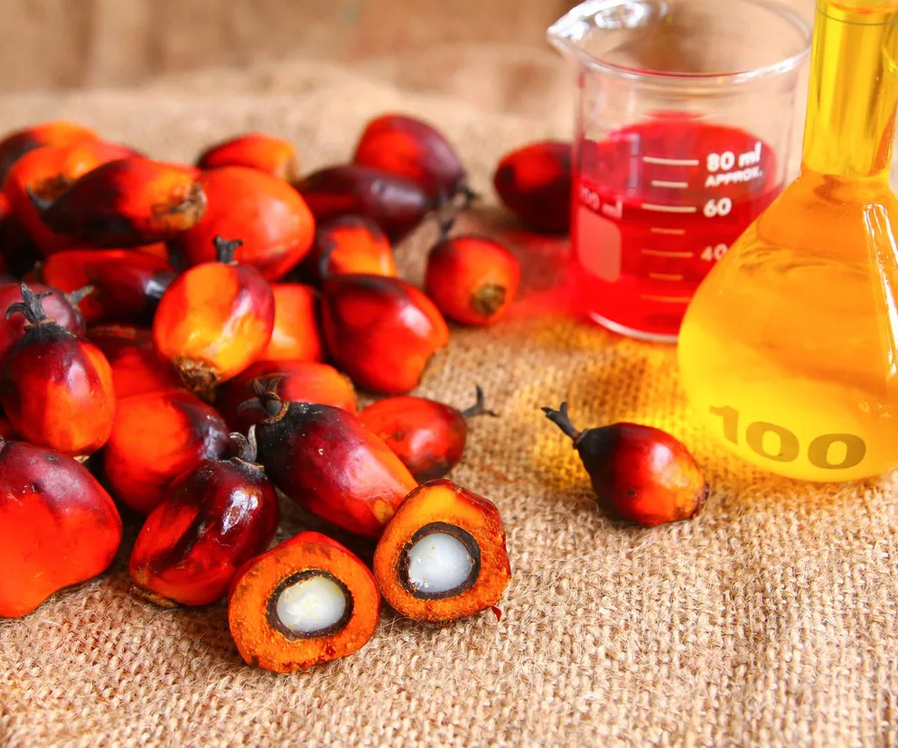 Olej palmowy to najgorszy olej? Nie zawsze - zwróć uwagę na jeden szczegół