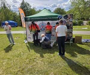 Festiwal Przyjaciół Zwierząt w Olsztynie. Park Centralny opanowały radosne pieski