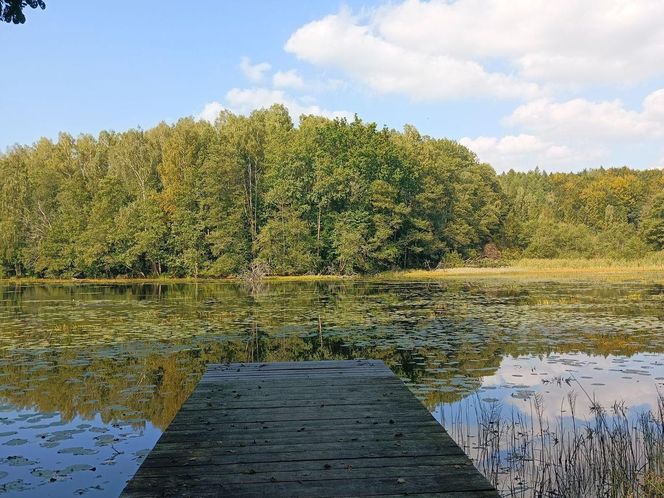 Te miejsca w Trójmieście i okolicach musisz odwiedzić jesienią