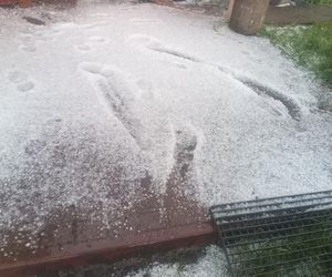 Zniszczone plantacje warzyw i owoców na Dolnym Śląsku. To był prawdziwy armagedon 