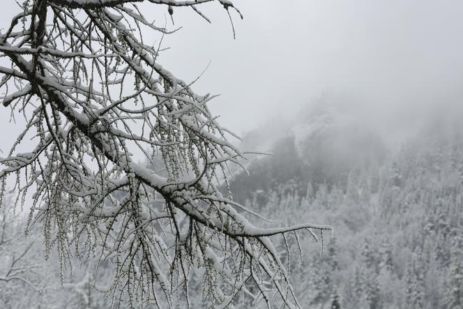 Śnieg w Zakopanem