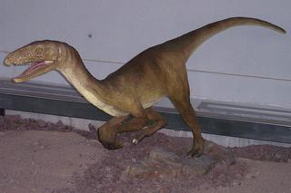 My też mamy „swojego” ichtiozaura! Ba, mamy też… śląskiego dinozaura!