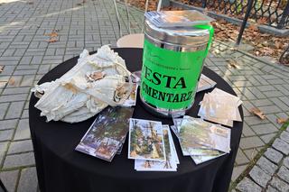 Stary Cmentarz w Tarnowie 2022