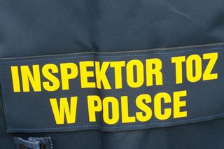 Potrzebni mężczyźni do ratowania zwierząt. TOZ Katowice ma nietypowy apel