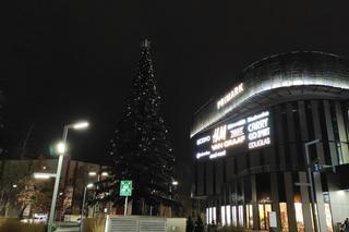 Choinka pod Galerią Młociny. Pierwsza w stolicy!