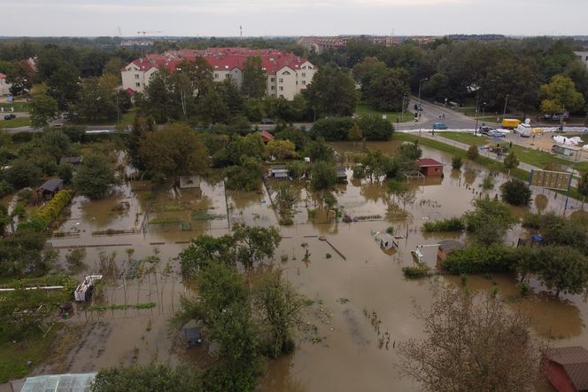  Fala powodziowa we Wrocławiu. Podtopienia na osiedlu Stabłowice