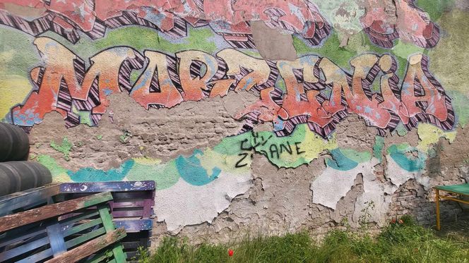 Autograf Zidane w Warszawie (czerwiec 2025)