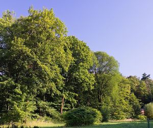 Ta gmina w Małopolsce jest turystycznym hitem! Zwyciężyła w prestiżowym plebiscycie