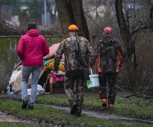 Myśliwi z długą bronią na ramieniu w środku toruńskiego osiedla przepędzali watahę dzików!