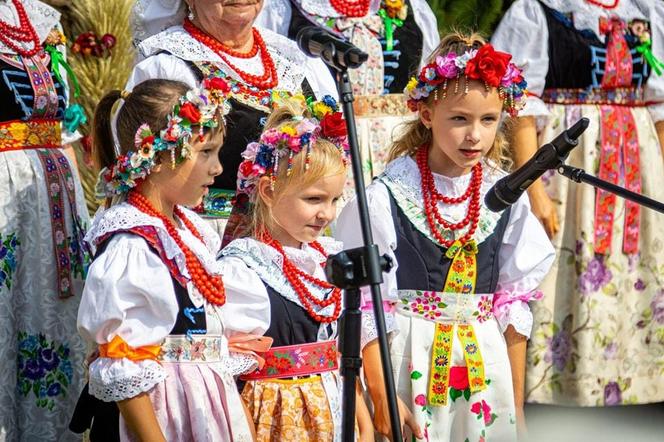 Święto plonów w katowickim Podlesiu. Katowickie dożynki na zakończenie wakacji