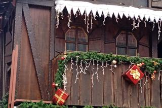 Choinka w Poznaniu 24 lutego