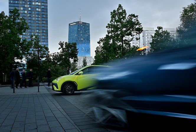 BYD DOLPHIN SURF
