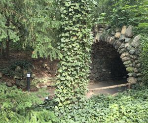 Letni spacer w zielonym sercu Bydgoszczy. Ogród Botaniczny UKW zaprasza!